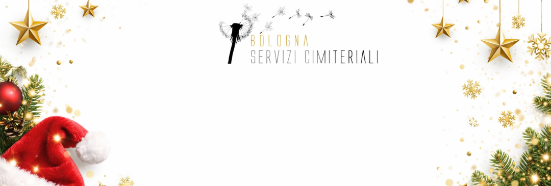 immagine con logo e fiocchi di natale